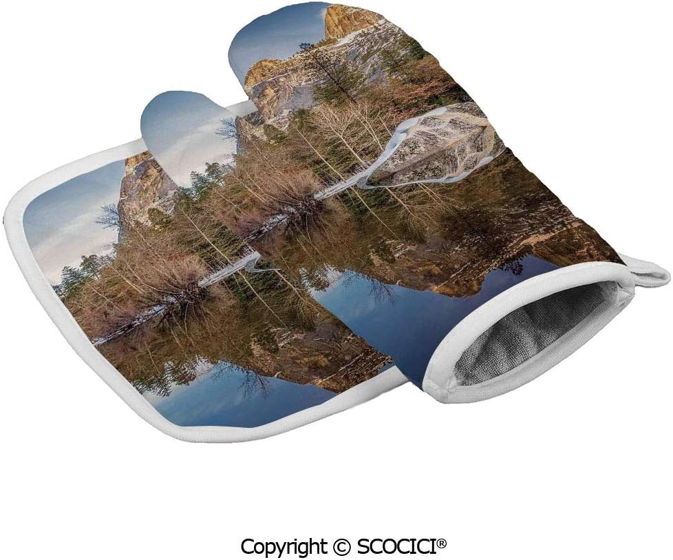 Which Is The Best Oven Mitt Yosemite