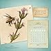 The Beekeeper's Bible 2017 Wall Calendar