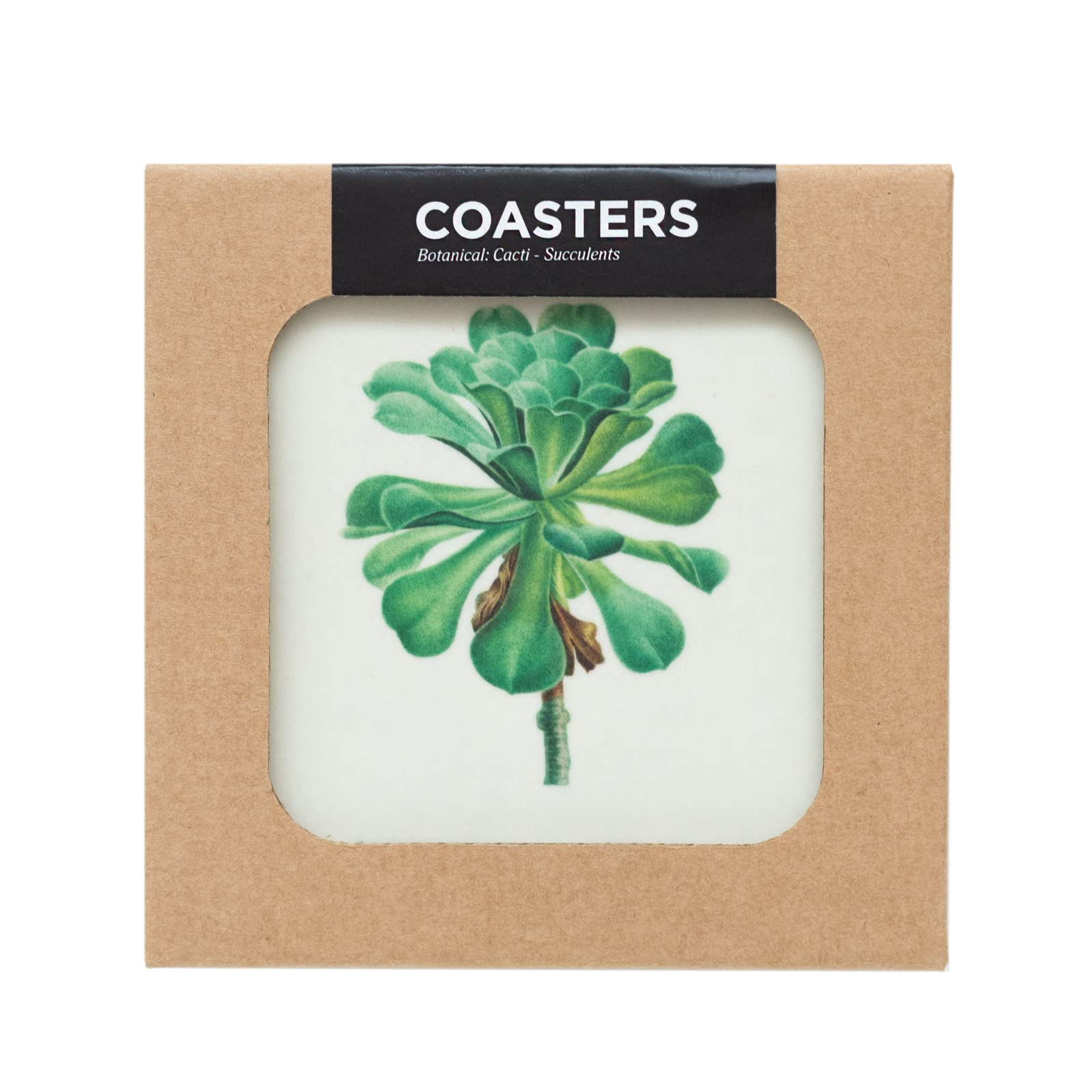 Grupo Erik Botanical Cacti Coasters Set Of 4-4 x 4 inches / 10 x 10 cm - Cork Coasters, Drinks Coasters, Beermat, Beverage Coaster, Drip Mat, Outdoor Coasters
