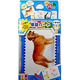 単語カードシリーズ　マルちゃんの単語カード いきもの