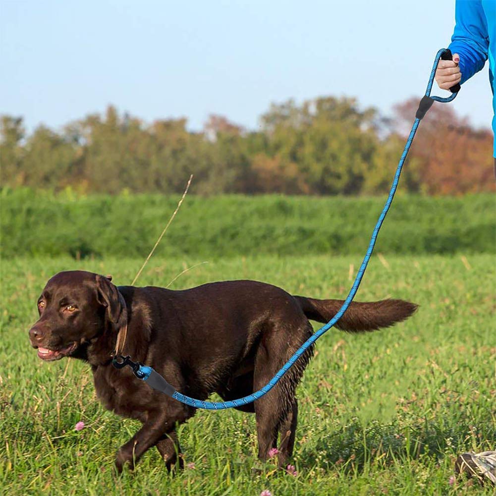 Dog Leash,Sturdy Nylon Dog Leash with Comfortable Padded Handle Reflective Leash for Night Safety.4/6ft Long - Perfect Leashes For for Small Medium Large Dogs (6 feet, Light Blue)