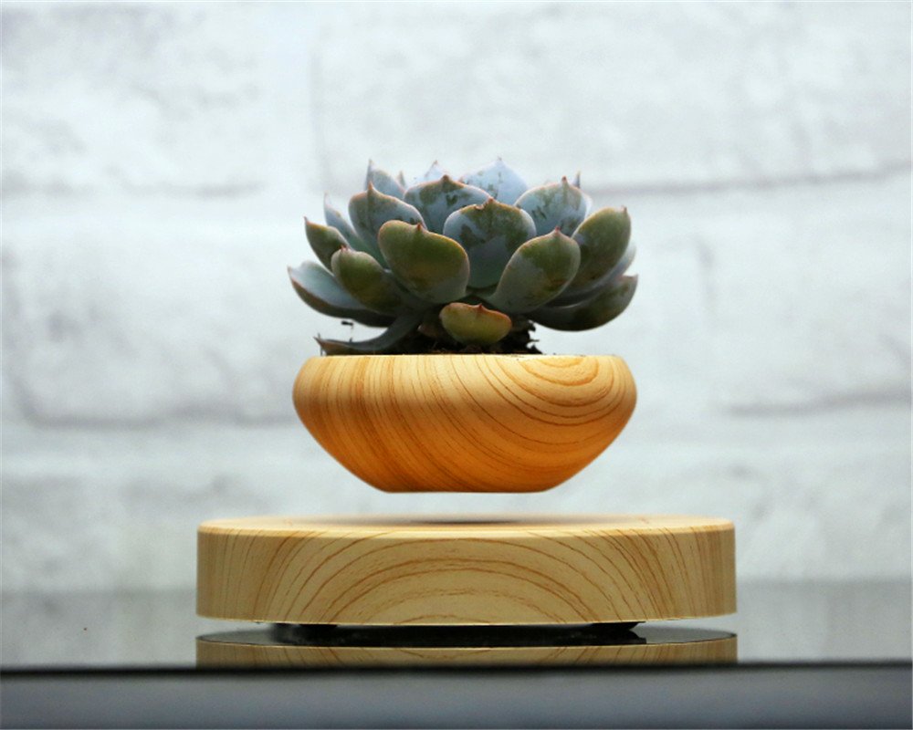 Magnetic Levitation Air Bonsai