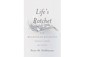Life's Ratchet: How Molecular Machines Extract Order from Chaos
