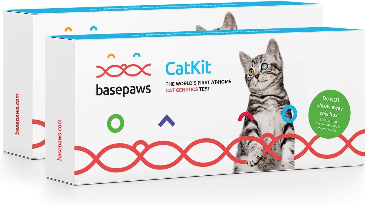 cat dna breed test