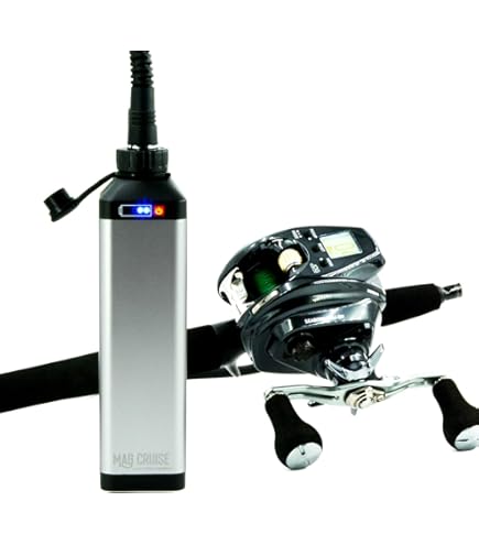 Amazon.com : Daiwa Leo Blitz S400 S400 Electric Reel, 2016 Model