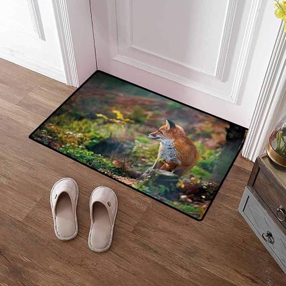 Custom&blanket Indoor Door Mat Fox Exterior Door Mat Young Wild Fox in Woodland for