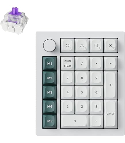Amazon.com: Topre Realforce 23U/23UB (WC01B0) Black Numberpad