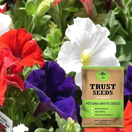 TrustBasket Petunia Mixed Seeds (Op)