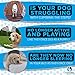 Glucosamine Chondroitin Soft Chewables for Dogs Turmeric, Arthritis Pain and Hip Dysplasia Treatment-Made in USA-Chicken Flavor-120 Chews