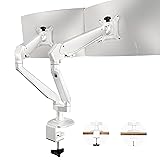 Ergounion Dual Monitor Mount for 2 Screens up to 32