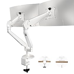 Ergounion Dual Monitor Mount for 2 Screens up to 32