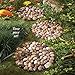 Collections Etc Limestone Rock Stepping Stones - Set of 3
