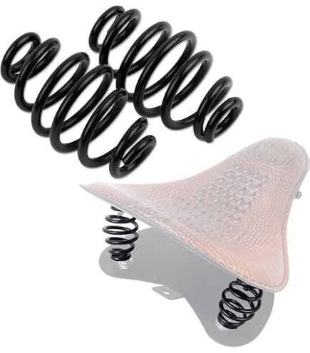 Amazon.com: Eastern Motorcycle Parts 2-847 Fork Springs