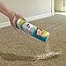 Simple Solution Urine Dry Carpet Powder | Absorbs Urine Wetness and Removes Odors | Fast Acting Formula | 24 Ounces
