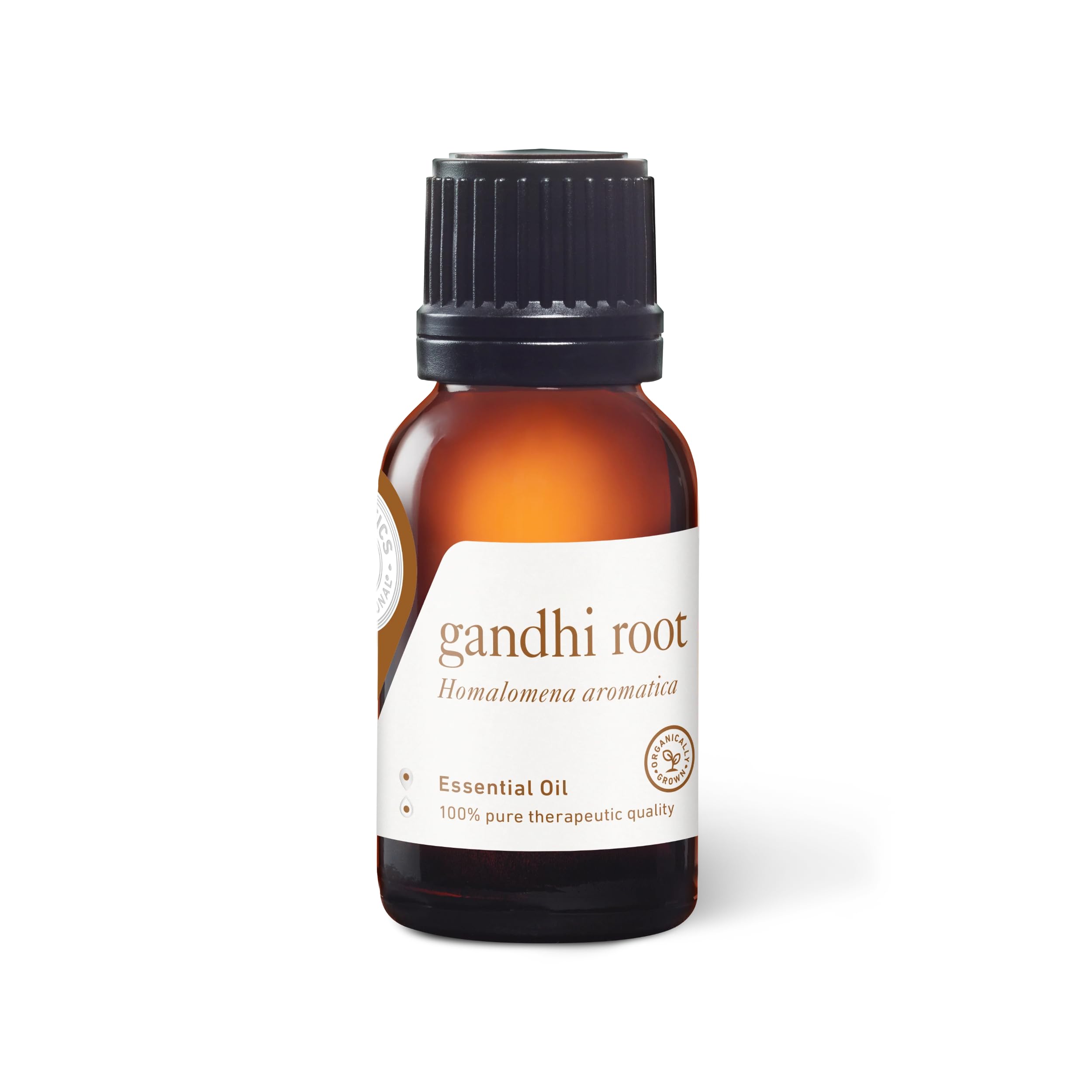 Aromatics International Ghandi Root Essential Oil