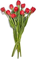 FLORAL Tulips 10 Stem, 1 EA