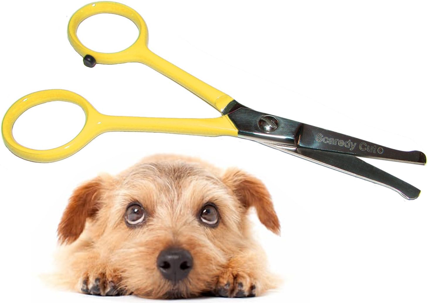 Tiny Trim - Ball-Tipped 4.5" Small Pet Grooming Safety Scissor - Ear, Nose, Face, Paw - For Cats and Dogs, Yellow