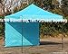 ABCCANOPY Instant Canopy SunWall 10x10 FT, 1 Pack Sidewall Only, No Frame or Top, Sky Blue