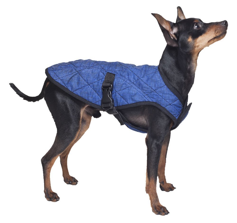 AQUA COOLKEEPER® Cooling Coat for Dogs Amazon.co.uk Pet Supplies