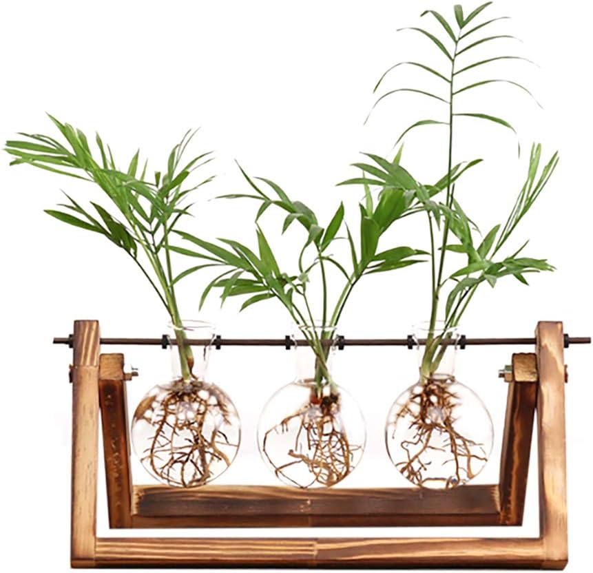 Ivolador Desktop Glass Planter Bulb Vase Bulb Plant Terrarium with Retro Solid Wooden Stand and Metal Swivel Holder for Hydroponics Plants Home Garden Wedding Decor (3 Bulb Vase): Pet Supplies