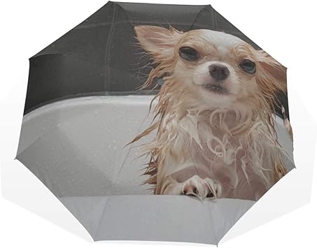 Dog sun umbrella Clearance