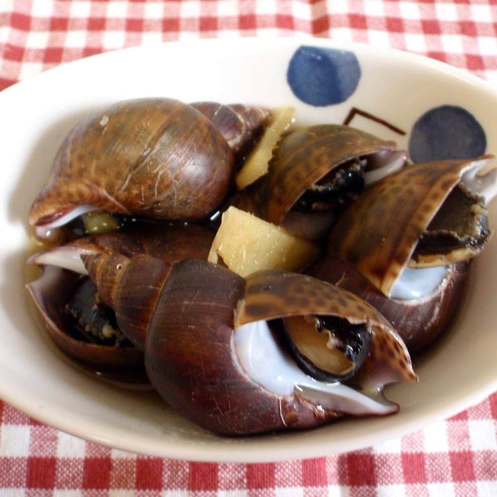 Amazon 富山湾産 バイ貝の王様 アズキ貝 3ｋ なまこ粒 カニ 通販