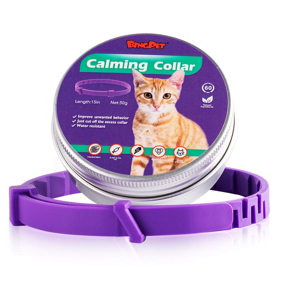 bingpet flea collar