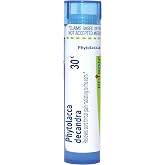 Boiron Phytolacca Decandra 30C Homeopathic Medicine for Sore Throat - 80 Pellets