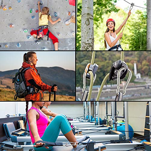 Rtudan-4-Inch-Spring-Snap-Carabiner-Hook-304-Stainless-Steel-Snap-Hook-Fit-for-GymCampingTraveling-Large-Carabiner-Clip-Set-of-4