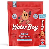 Waterboy Daily Hydration | 1,570mg Electrolyte Powder Packets | No Sugar, All Natural, Gluten Free, Zero Calories | 15 Drink Stick Mixes (Blue Raspberry)