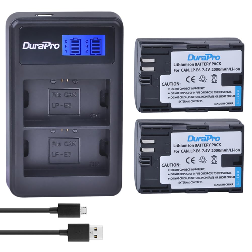 DuraPro 2Packs 1860mAh DMW-BLF19 DMW-BLF19E Battery + Rapid LCD Dual USB Charger for Panasonic DMW-BLF19E DMW-BLF19 DMW-BLF19PP Battery; DMC-GH3,DMC-GH4,DC-GH5 G9 Cameras