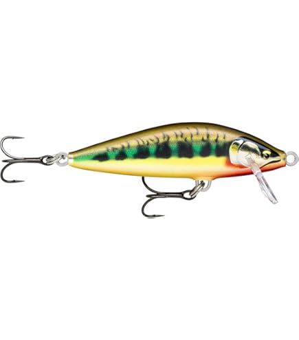 Amazon.com : Rapala Countdown Elite 75 Gilded Hot Tiger : Sports