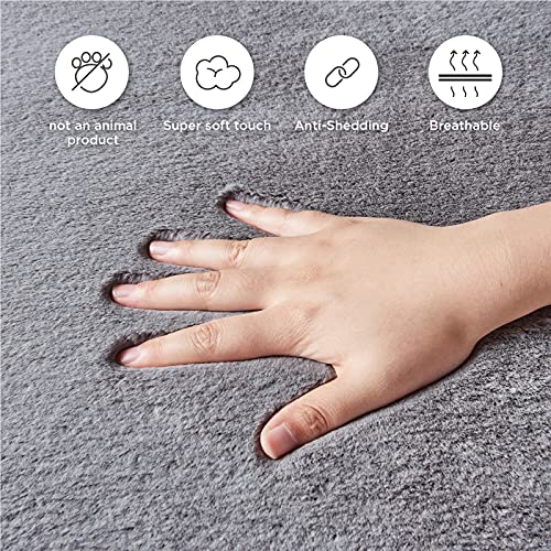 Bedsure Faux Fur Area Rug - Soft Fluffy Fuzzy Rug 2x3 for Bedroom, Grey Shag Rugs Non Slip, Furry Throw Rugs for Living Room, Home Decor for Girls Kids Teen Nursery Dorm Room