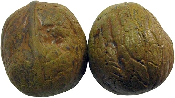 Amazon Fukuhatsumetal 福発メタル ハイパークルミ Fh 2411 Fukuhatsumetal 福発メタル グリップ リストトレーナー