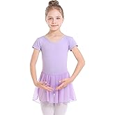 danswan Long Sleeve Ballet Skirted Leotards Dance Dresses Tutu Outfit for Ballerina Toddler Girls