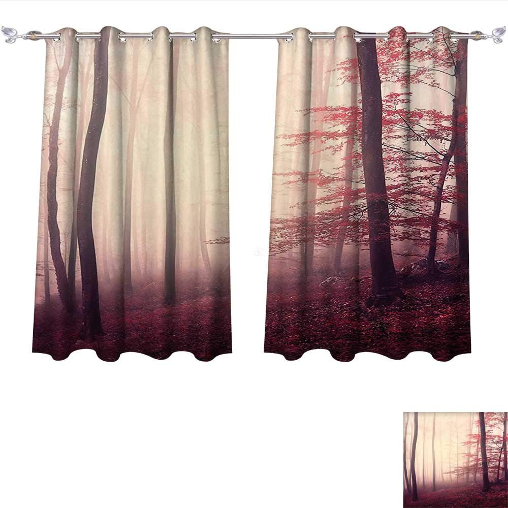 Amazon Com Qinqin Home Blackout Living Room Bedroom Window