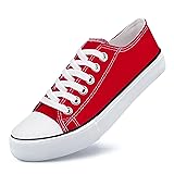 Unisex Low Top Lace Up Casual Canvas Shoes for