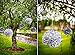 Silver Party Decoration Tissue Paper Pom Poms White Silver Polka Dot Pom Poms Tassel Star Garlands Balloons 25th Wedding Anniversary Birthday Baby Bridal Shower Quinceanera Holy Communion Graduation