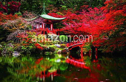 Daigo-ji temple with colorful maple trees in autumn, Kyoto, Japan Poster Print, 17" x 11"