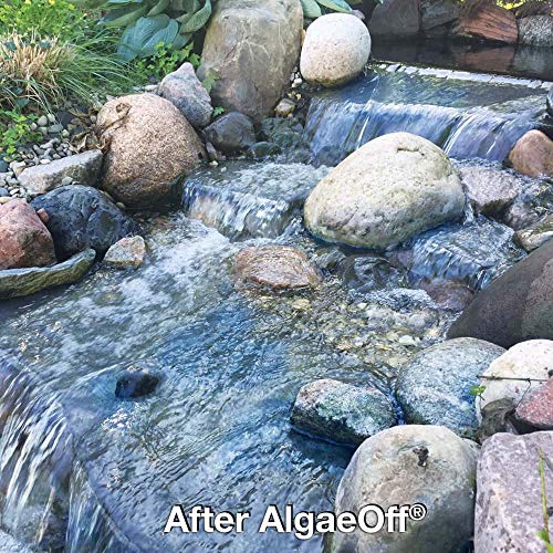 CrystalClear AlgaeOff - String Algae Remover - 10 pounds Treats Up to 4,000 Square Feet - Thumbnail 4