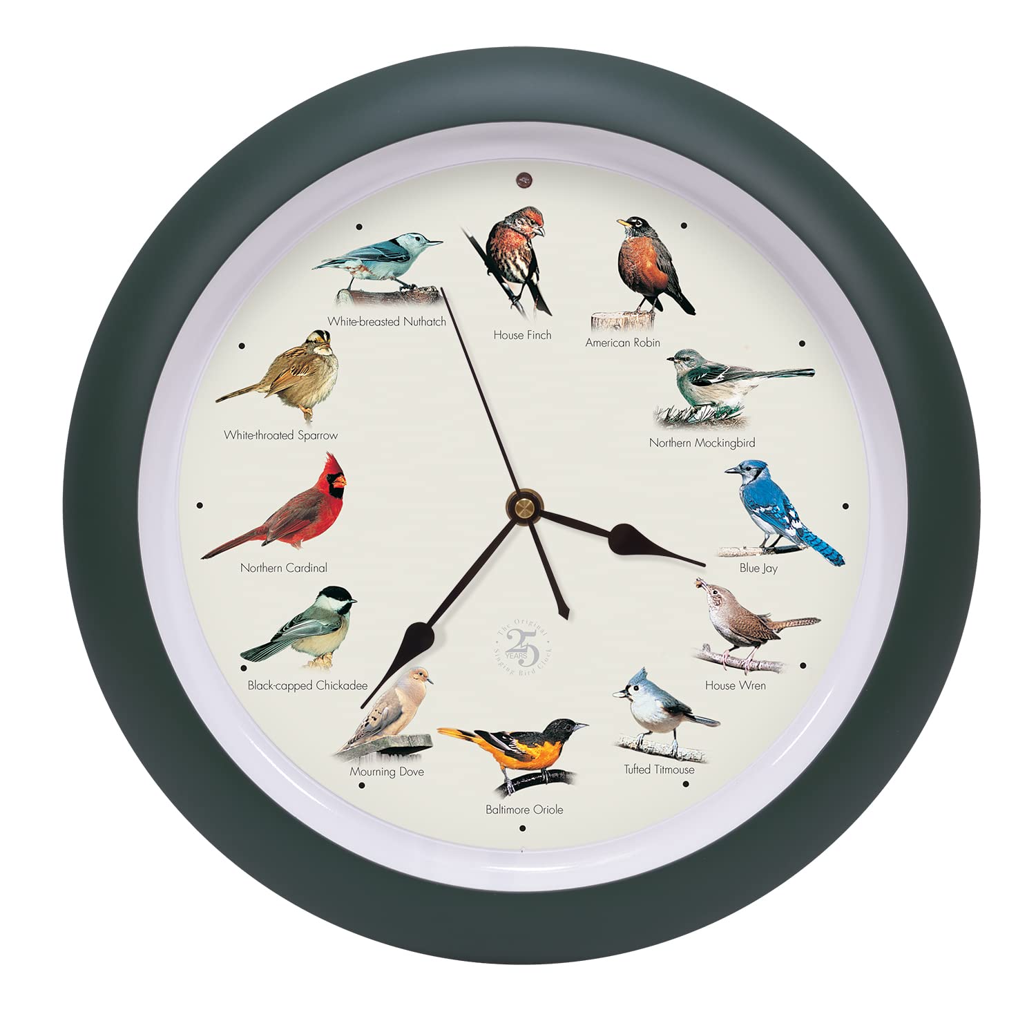 Mark Feldstein & Associates The Original Singing Bird Clock 25th Anniversary Edition, As Seen On TV (13 Inch, Matte Green) — image 1