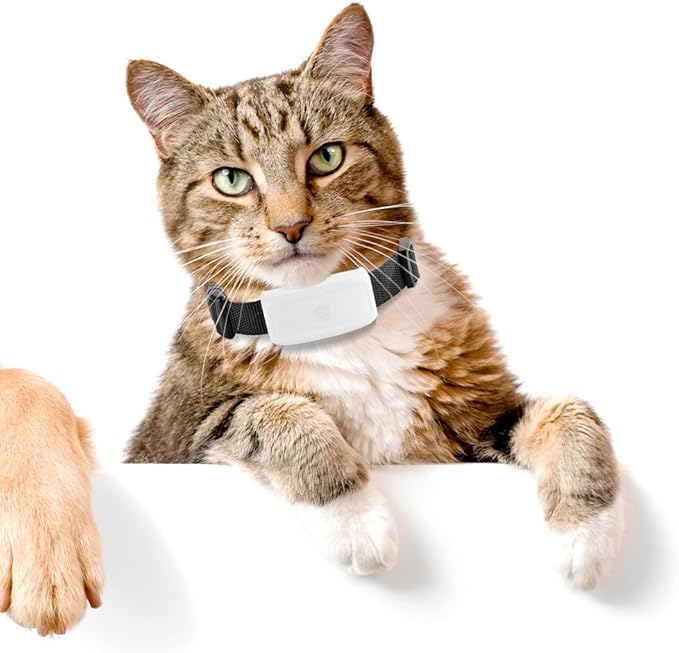 Ige Hatarozoszo Irjon Egy Jelentest Suivre Son Chat Par Gps Amazon Tiburonsalmoninstitute Org