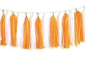 CC WONDERLAND ZONE Orange and White Tassel Garland,Orange White Tissue Paper Tassel Banner for Party Decor,DIY Kits - (20 PCS)