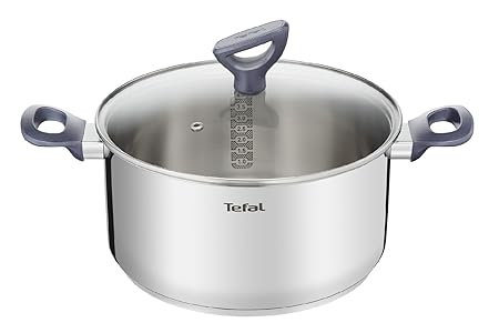 Tefal Daily Cook - Cacerola acero inoxidable con Tapa de 20 cm, 3 ...