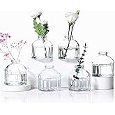 Aebor Glass Bud Vases Set of 6, Glass Flower Vases Small Bottles for Floral Arrangements, Rustic Decorative Floral Vases for Centerpiece Home Living Room Office Decoration or Wedding Event (Clear B)