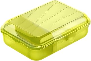 Rotho Fun Vesperdose 0,9l mit herausnehmbarer Trennwand, Kunststoff (PP) BPA-frei, grün, S/0,9l (17,7 x 12,9 x 6,0 cm)