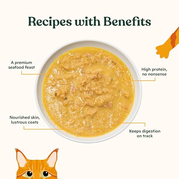MADE BY NACHO FLAKED FILETS RECIPE IN BONE BROTH, GRAIN-FREE CHEF’S SELECTS WET FOOD FOR CATS BALANCED DIET IN NATURALLY HYDRATING PUMPKIN-INFUSED BROTH (3.0 OZ (PACK OF 12), FLAKED FISH VARIETY PACK)
