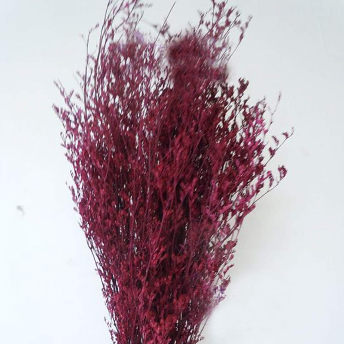 WOOAI 1Bunch of Artificial Handmade Plant Natural Dried Flowers For Home Dector For Handicraft P10,Wine Red