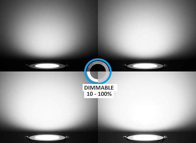 4 Inch 3000k Warm White 10 Rotatable Adjustable Eyeball Slim Panel