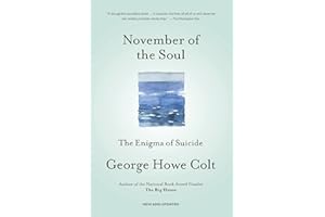 November of the Soul: The Enigma of Suicide